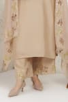 BAIDEHI_Beige Silk, Organza Embroidery, Applique V-neck Pitta And Work Kurta Set _Online_at_Aza_Fashions