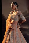 Shop_Ohaila Khan_Brown Tulle, Silk Crystals, Pearls, Beads, Embroidery Scoop Neck Lehenga Set 