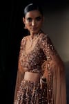 Buy Ohaila Khan Gold Tulle, Silk Sequins, Crystals, Embroidery Round Neck And Lehenga Set Online at Aza Fashions Buy_Ohaila Khan_Gold Tulle, Silk Sequins, Crystals, Embroidery Round Neck And Lehenga Set _Online_at_Aza_Fashions