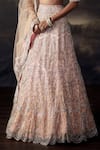 Buy_Ohaila Khan_Pink Tulle, Silk Crystals, Beads, Embroidery, Metallic Thread, Lehenga Set _Online_at_Aza_Fashions