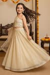 Shop_Minime Organics_Gold Organza, Georgette, Net Gota Patti, One-shoulder Choli And Lehenga Set _at_Aza_Fashions