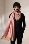 Buy_Dusala_Pink Pashmina Wool Silk Shawl _at_Aza_Fashions