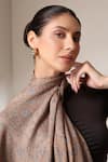Dusala_Beige Pashmina Wool Silk Embroidered Stole _at_Aza_Fashions