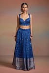 Dressfolk_Blue Silk Zari, Embroidery, Metallic Thread Sweetheart Raunaq Woven Lehenga Set _Online_at_Aza_Fashions