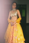 Buy_Paulmi And Harsh_Yellow Shantoon, Organza Embroidery, Sequins, Florette Print 16 Kali Lehenga Set _Online_at_Aza_Fashions