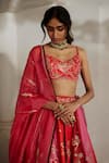 Shop_Paulmi And Harsh_Pink Organza Sequins, Embroidery, Zari, Lace Botanical Print And Lehenga Set _Online_at_Aza_Fashions