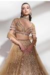 Anshika Tak Label_Gold Net Sequins, Beads, Embroidery, Pearls V-neck Bridal Lehenga Set _Online_at_Aza_Fashions