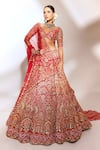 Buy_Anshika Tak Label_Red Tussar, Silk, Net Zari, Sequins, Stones, Embroidery Bridal Lehenga Set _at_Aza_Fashions