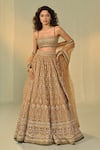 Buy_Cedar & Pine_Gold Organza, Georgette, Tulle Embroidery, Sequins, Zuleikha Blouse Lehenga Set _at_Aza_Fashions
