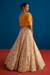Mishru_Orange Tulle, Organza, Silk Embroidery, Sequins Round Celia Blouse Lehenga Set _Online_at_Aza_Fashions