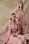 Shop_Awigna_Pink Organza Embroidery, Sequins, Cut Work Open Juno Floral Cape Sharara Set _Online_at_Aza_Fashions