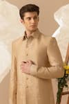 Eleven Brothers_Beige Silk Embroidery Jacket Pant Set _Online_at_Aza_Fashions