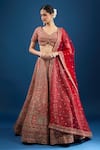 Azeera_Maroon Silk, Net Sequins, Beads, Zari, Embroidery V-neck Bridal Lehenga Set _at_Aza_Fashions
