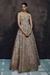 Shop_Dolly J_Grey Organza Sequins, Beads, Embroidery Golden Reverie Embellished Gown _at_Aza_Fashions