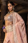 Monk & Mei By Sonia Anand_Pink Tissue, Silk Sequins, Embroidery V-neck Janaki Blouse Lehenga Set _Online_at_Aza_Fashions