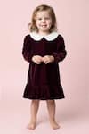 Buy_Toplove_Burgundy Velvet Pearls, Embroidery Embellished Dress _at_Aza_Fashions
