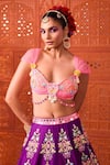 Rajbinder Chahal_Purple Dupion, Silk Embroidery, Mirrors, Applique, Elephant Lehenga Blouse Set _Online_at_Aza_Fashions