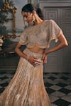Shop_Studio22 By Pulkita Arora Bajaj_Silver Net, Shantoon Sequins, Embroidery, Astra Shimmer Hand Lehenga Set _Online_at_Aza_Fashions