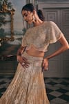 Studio22 By Pulkita Arora Bajaj_Silver Net, Shantoon Sequins, Embroidery, Astra Shimmer Hand Lehenga Set _at_Aza_Fashions