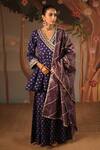 Buy_Nero India_Blue Organza, Chanderi Stripe Woven Dupatta _at_Aza_Fashions