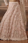 Shop_Sabe_Pink Net Sequins, Pearls, Embroidery V-neck Mehr Hand Lehenga Set _Online_at_Aza_Fashions