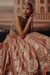 Buy_Sabe_Pink Silk, Tissue Embroidery, Sequins, Pearls, Gulbahar Shimmer Lehenga Set _Online_at_Aza_Fashions
