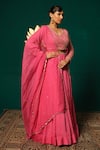 Shop_Niloufer By Aasif Ally_Pink Chinon, Tissue Sequins, Stones, Gota Patti Hand Work Blouse Lehenga Set _Online_at_Aza_Fashions