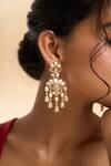 Nazaakat By Samara Singh_Pink Stones, Beads, Crystals Tassel Embellished Drop Earrings _Online_at_Aza_Fashions
