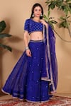 Buy_Sonali Methi_Blue Georgette Mirrors, Embroidery, Sequins, Piping Lehriya Hand Lehenga Set 