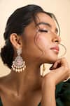 Nazaakat By Samara Singh_Gold Plated Stones, Pearls, Embellished Dangler Earrings _at_Aza_Fashions