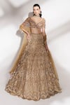Buy_Anshika Tak Label_Gold Net Sequins, Beads, Embroidery, Pearls V-neck Bridal Lehenga Set _at_Aza_Fashions