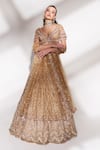 Anshika Tak Label_Gold Net Sequins, Beads, Embroidery, Pearls V-neck Bridal Lehenga Set _Online_at_Aza_Fashions