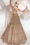 Buy_Anshika Tak Label_Gold Net Sequins, Beads, Embroidery, Pearls V-neck Bridal Lehenga Set _Online_at_Aza_Fashions