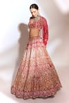 Buy_Anshika Tak Label_Red Tussar, Silk, Net Zari, Sequins, Stones, Embroidery Bridal Lehenga Set _Online_at_Aza_Fashions