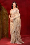 Azeera_Gold Net Embroidery, Metallic Thread Saree With Unstitched Blouse Piece 