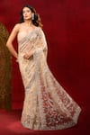 Azeera_Gold Net Embroidery, Metallic Thread Saree With Unstitched Blouse Piece 