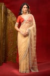 Buy_Azeera_Gold Net Embroidery, Sequins, Stones Work Saree With Unstitched Blouse Piece _Online