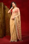 Azeera_Gold Net Embroidery, Sequins, Stones Work Saree With Unstitched Blouse Piece 