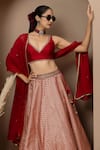 Shop_Monika Mathuria Datta_Maroon Dupion, Brocade, Silk, Georgette Zari, Chevron Pattern Lehenga Set _Online_at_Aza_Fashions