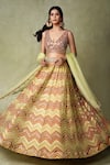 Shop_AMRIN KHAN_Green Organza, Silk Embroidery, Sequins, Chevron Motif Resham Lehenga Set _Online_at_Aza_Fashions