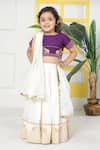 Buy_Little Bansi_Purple Cotton Embroidery, Zari Elephant Lehenga Set _at_Aza_Fashions