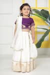 Shop_Little Bansi_Purple Cotton Embroidery, Zari Elephant Lehenga Set 
