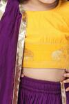 Little Bansi_Yellow Cotton Embroidery, Lace Elephant Motif Lehenga Set _Online