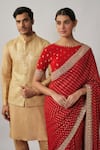 Buy_Renee label_Red Viscose Georgette, Satin Zari, Sequins, Payalia Woven Saree With Blouse 