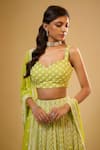 Renee label_Lime Viscose Georgette Beads, Embroidery, Sequins Aashni Glass Lehenga Set _Online_at_Aza_Fashions