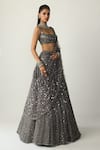Vvani by vani vats_Grey Georgette, Organza, Net Mirrors, Embroidery, Sequins Metallic Lehenga Set _Online_at_Aza_Fashions