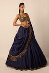 Buy_Vvani by vani vats_Blue Georgette, Organza Mirrors, Beads, Embroidery, Tassels Blouse Lehenga Set _Online_at_Aza_Fashions