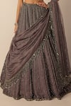 Shop_Vvani by vani vats_Grey Georgette, Organza Crystals, Beads, Mirrors, Linear Lehenga Set _Online_at_Aza_Fashions