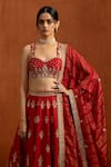 Shop_Lashkaraa_Red Viscose, Satin, Tissue Embroidery, Sequins, Zari, Peacock Motif Lehenga Set _Online_at_Aza_Fashions