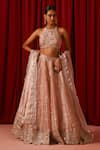 Buy Lashkaraa Blush Silk, Shantoon Zari, Sequins, Embroidery, Stones Halter Neck, Lehenga Set at Aza Fashions Buy_Lashkaraa_Blush Silk, Shantoon Zari, Sequins, Embroidery, Stones Halter Neck, Lehenga Set _at_Aza_Fashions
